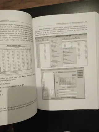 Técnicas avanzadas de predicción (Spanish Edition)