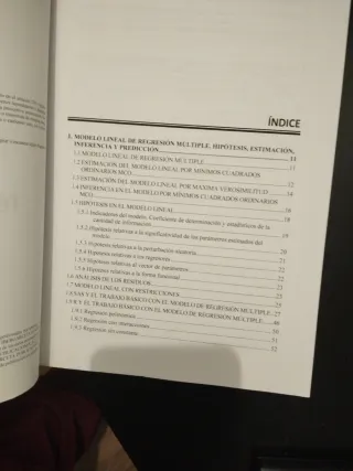 Técnicas avanzadas de predicción (Spanish Edition)
