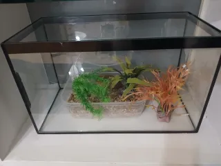 Acquario con controllo della temperatura