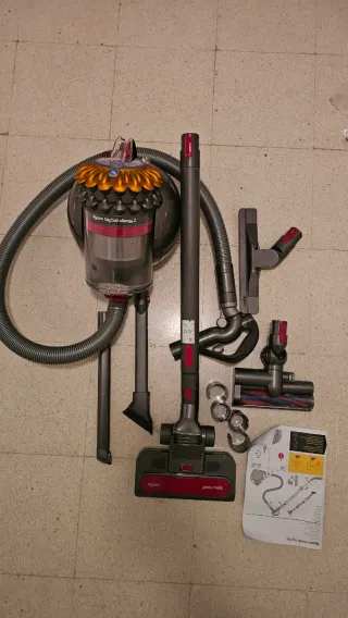 Aspirador Dyson Big Ball Allergy 2