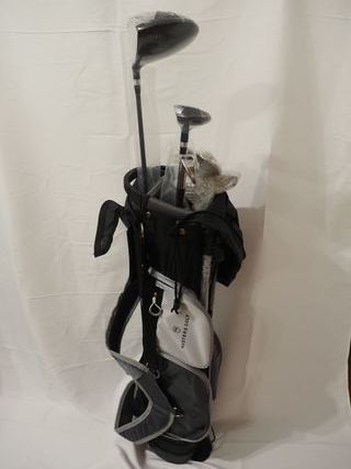 Set Golf Master GX1 GT Grafito Diestro