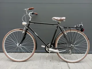 Bicicleta Alpina Negra