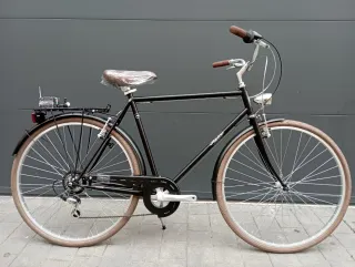 Bicicleta Alpina Negra