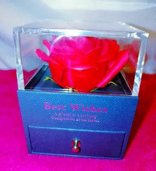 Rosa Eterna y Collar Corazón