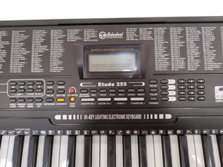 TECLADO MUSICAL SCHUBERT 10031457 + ADAPTADOR A LA LUZ