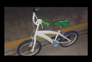 Bicicleta infantil blanca y verde