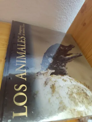 Los animales