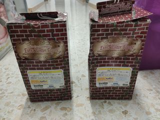 Figuras Invierno SEGA Neon Genesis Evangelion Rei