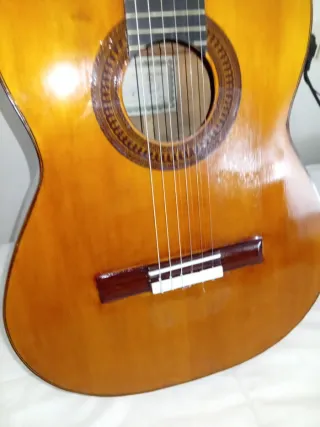 Guitarra Flamenca .Cambio.