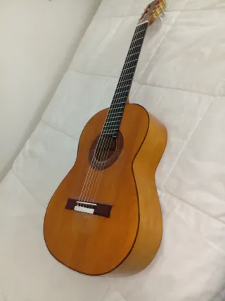 Guitarra Flamenca .Cambio.