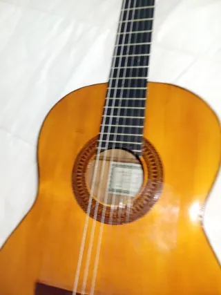 Guitarra Flamenca .Cambio.