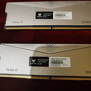 DDR5 Predator 32gb ( 2x16gb)