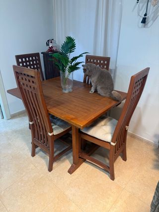 Tavolo da pranzo in legno con 4 sedie