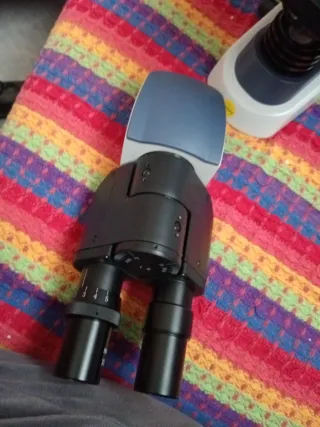 Microscopio Swift SW380B 40X-2500X