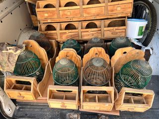 Jaulas perdiz con reclamo, puestos portátiles