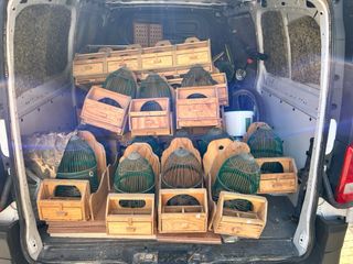 Jaulas perdiz con reclamo, puestos portátiles