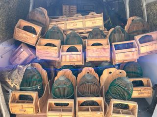 Jaulas perdiz con reclamo, puestos portátiles