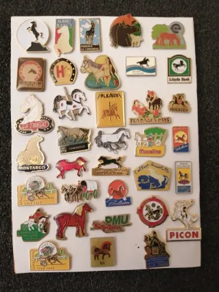 Lote de pins de caballos