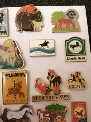Lote de pins de caballos
