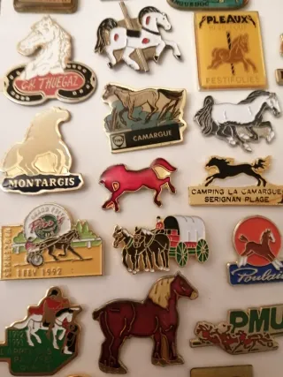 Lote de pins de caballos