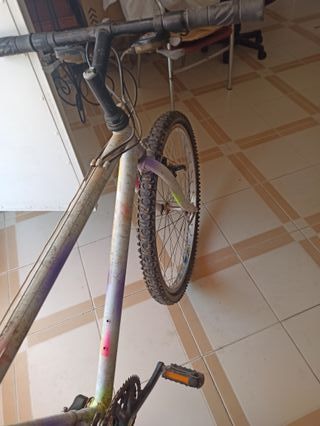 Bicicleta de Montaña