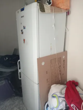 Un buen habitación  solo una chica