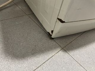 Lavadora BOSCH Maxx WFL 1662