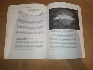 Modern Streamers for Trophy Trout New Techniques