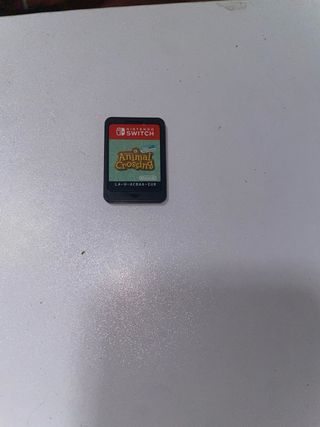 Animal Crossing New Horizons Nintendo Switch