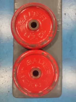 Discos de Pesas Salter 10kg (2 unidades)