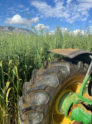 Tractor John Deere 6230