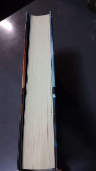 Quien pierde paga (Trilogía Bill Hodges 2)