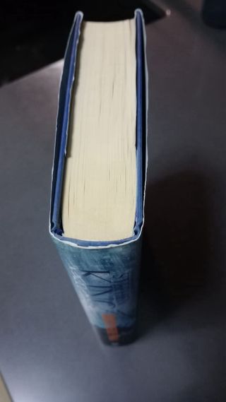 Quien pierde paga (Trilogía Bill Hodges 2)