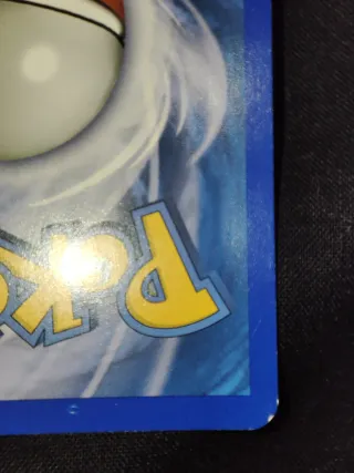 Pokemon Raikou Shiny Call Of Legends ITA SL9