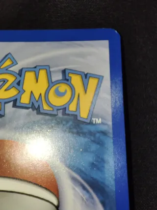 Pokemon Raikou Shiny Call Of Legends ITA SL9