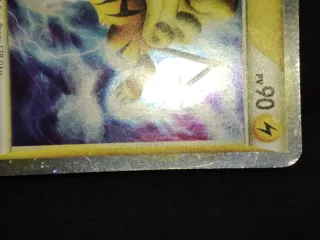 Pokemon Raikou Shiny Call Of Legends ITA SL9