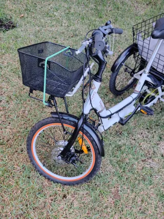 Triciclo Eléctrico Coluer 36V 250W