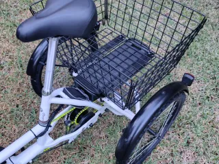 Triciclo Eléctrico Coluer 36V 250W