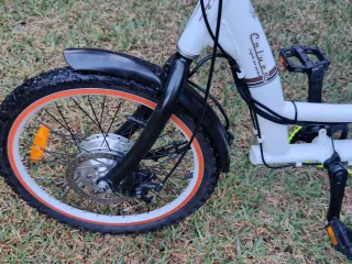 Triciclo Eléctrico Coluer 36V 250W