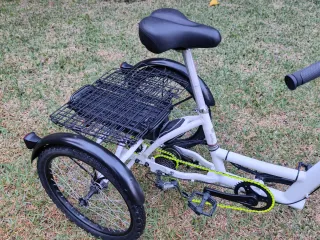 Triciclo Eléctrico Coluer 36V 250W