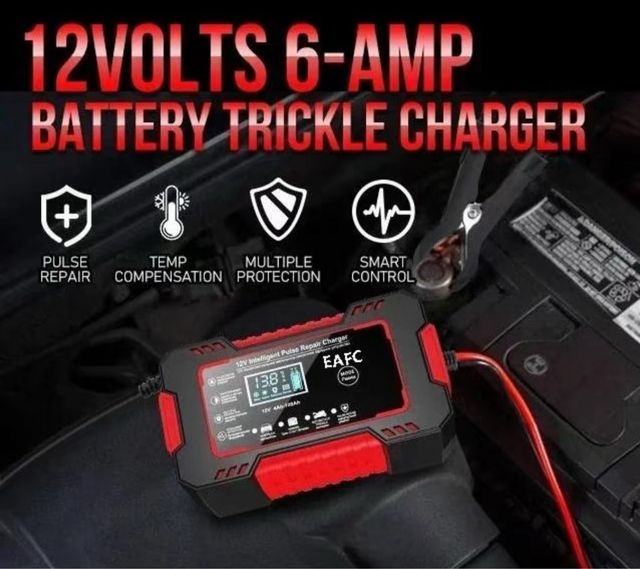 Cargador Inteligente Batería Coche 12V