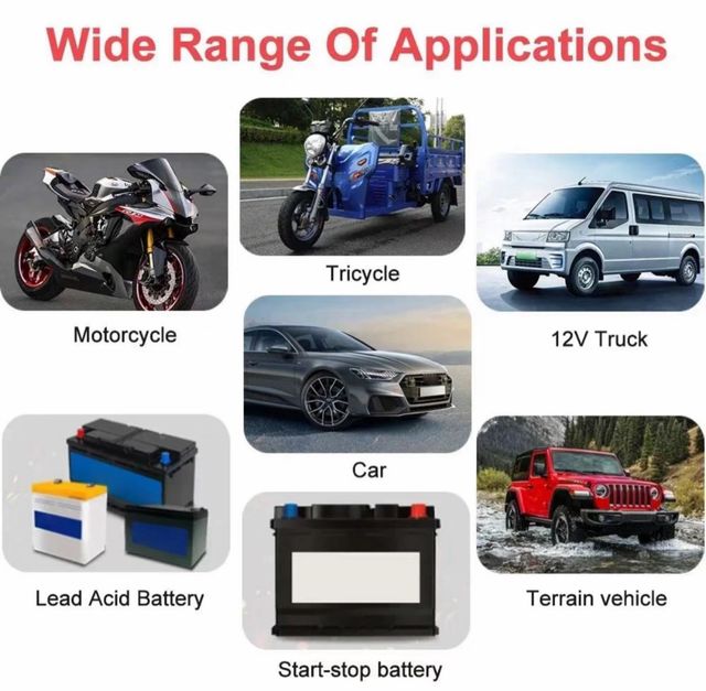 Cargador Inteligente Batería Coche 12V