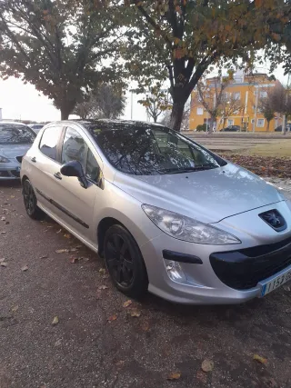 Peugeot 307 2009