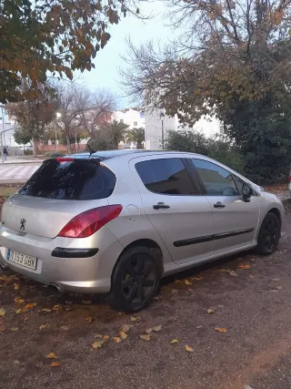 Peugeot 307 2009