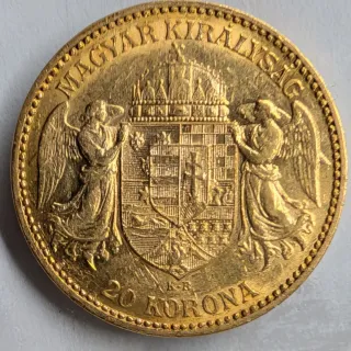 20 Corone d'Oro Ungheria 1893