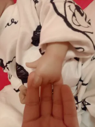 Muñeco reborn de silicona realista