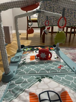 Gimnasio Bebé Fisher-Price