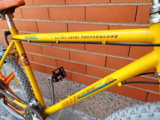 Bicicleta Vintage Llantas Grimeca