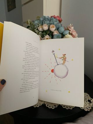 Le Petit Prince (French Edition)
