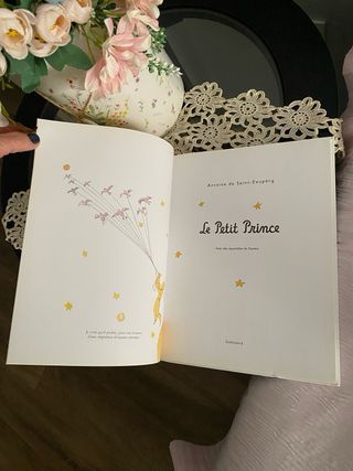 Le Petit Prince (French Edition)